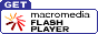 Click here to download Flash.
